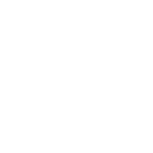 c0re Leader transparent weiß